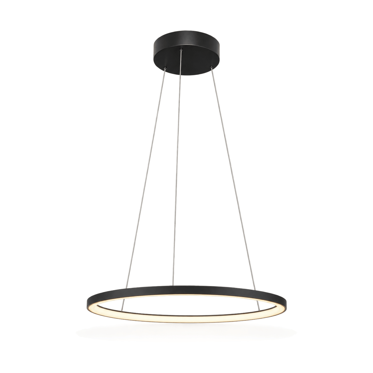 22W Warm White 60cm Black Ring Pendant Light - white background
