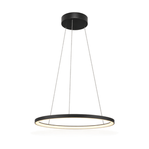 22W Warm White 60cm Black Ring Pendant Light - white background