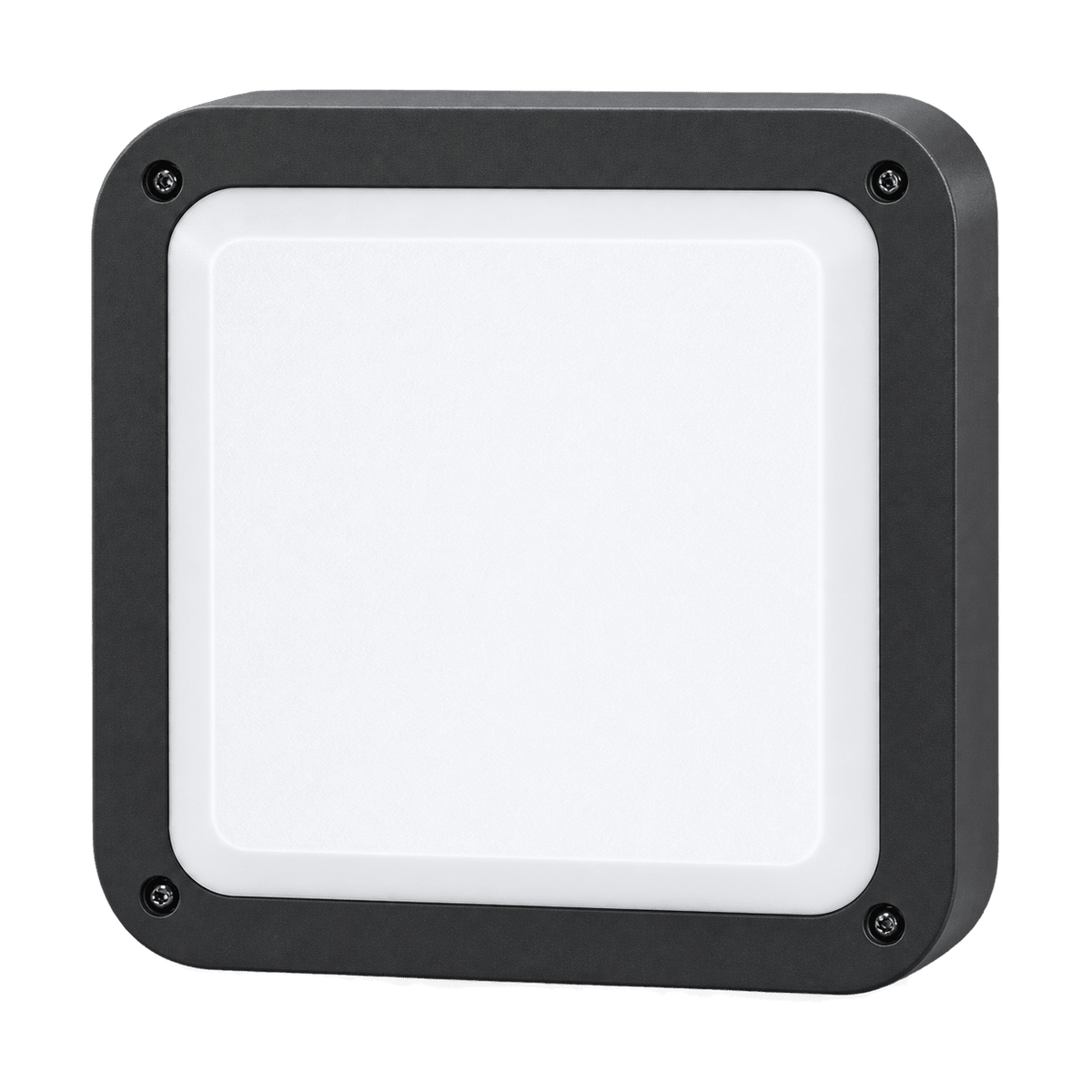 Grey Outdoor Bulkhead Light IP44 - transparent background