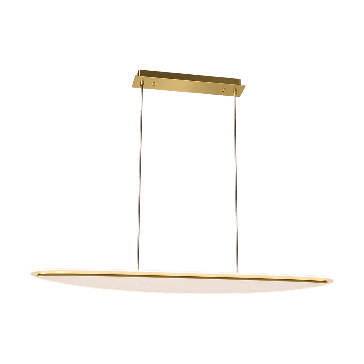 Nautilus Acrylic LED Pendant Light - transparent background