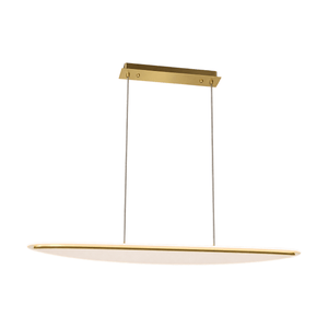 Nautilus Acrylic LED Pendant Light - white background