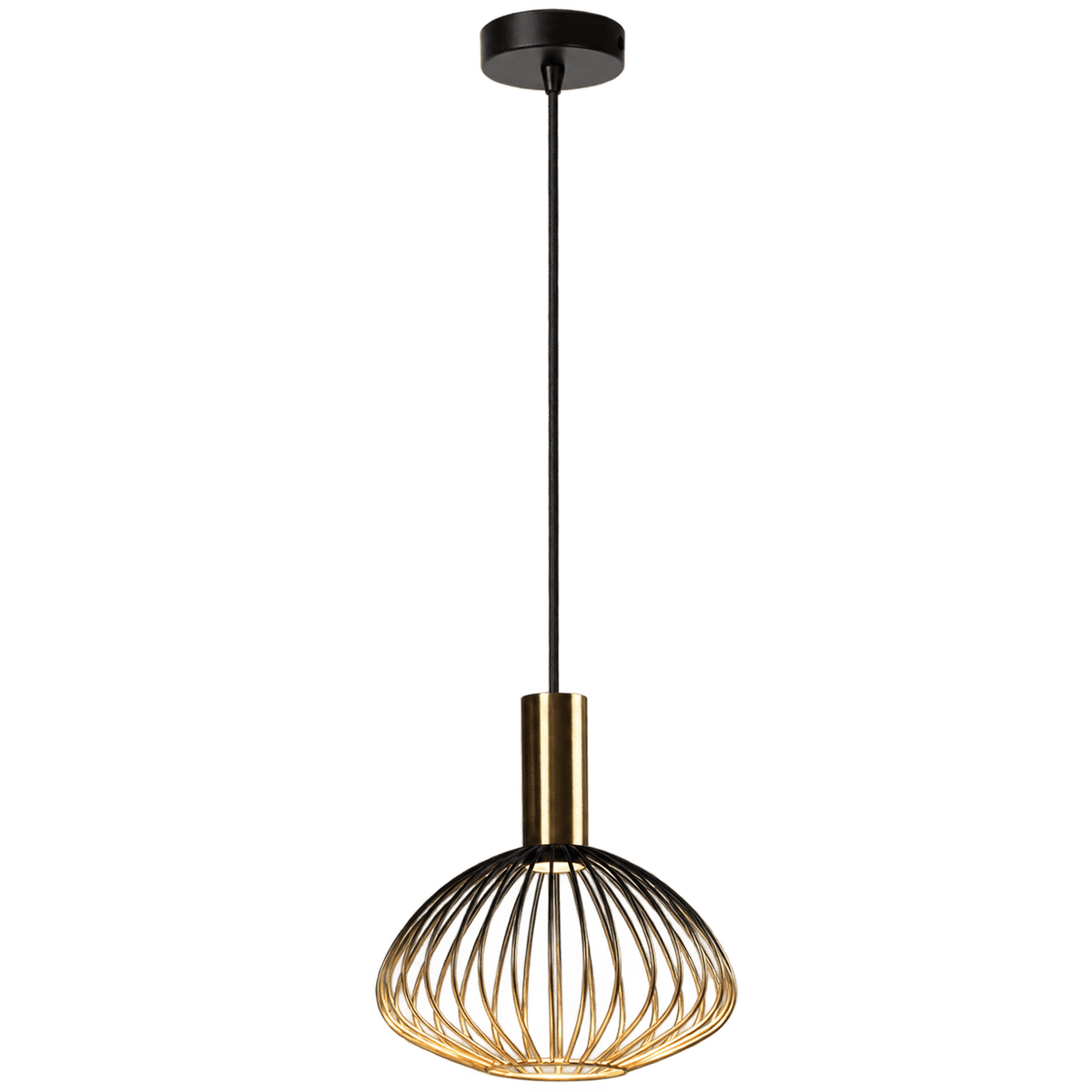 Gold & Black Pendant Light — transparent background