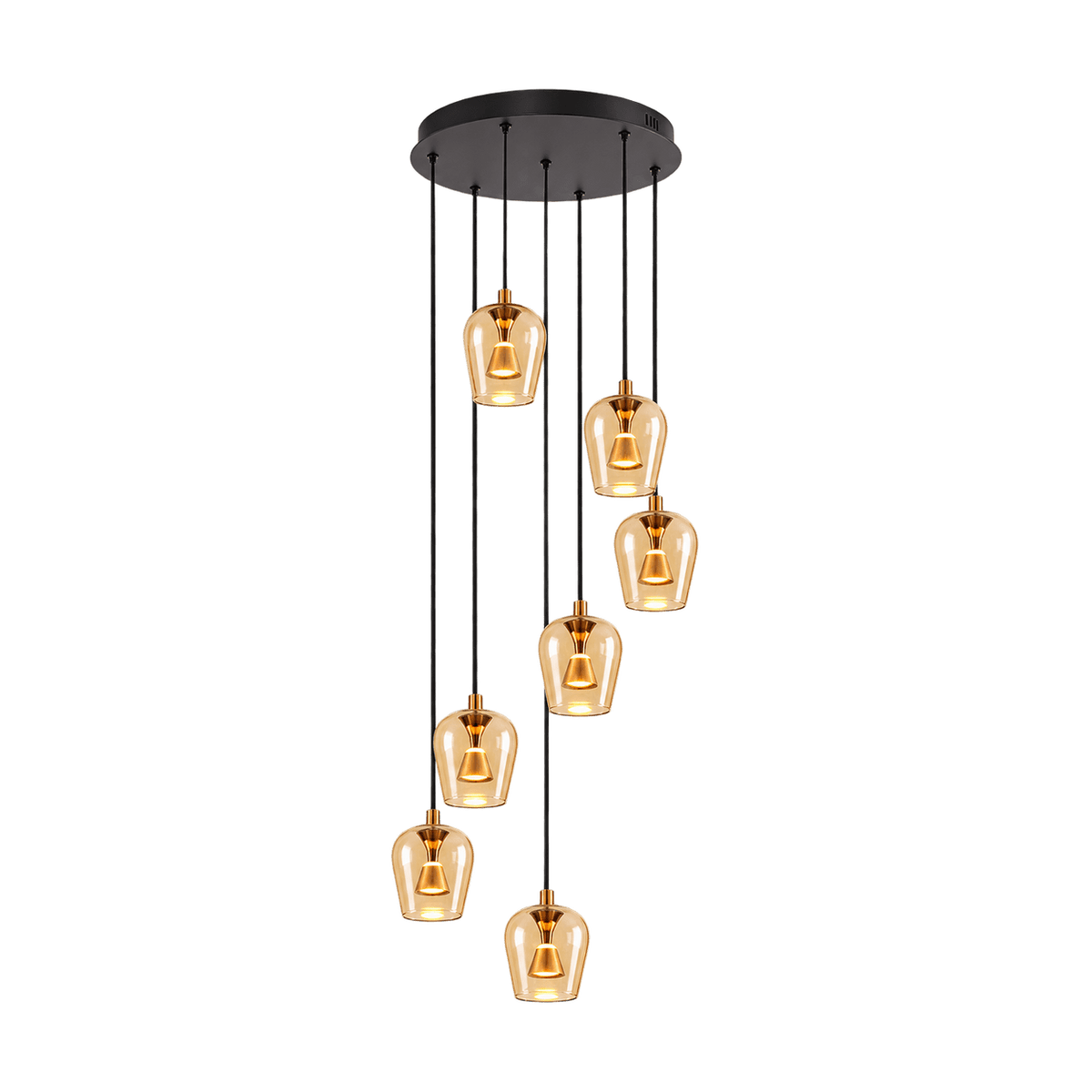 Golden Wizard Black & Gold LED Pendant Light - transparent background