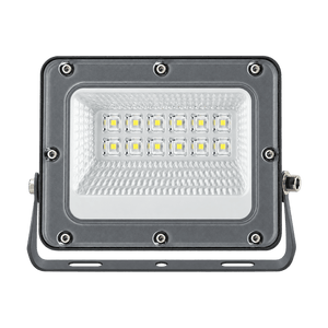 20W 3CCT Day/Night Sensor LED Floodlight – transparent background product image