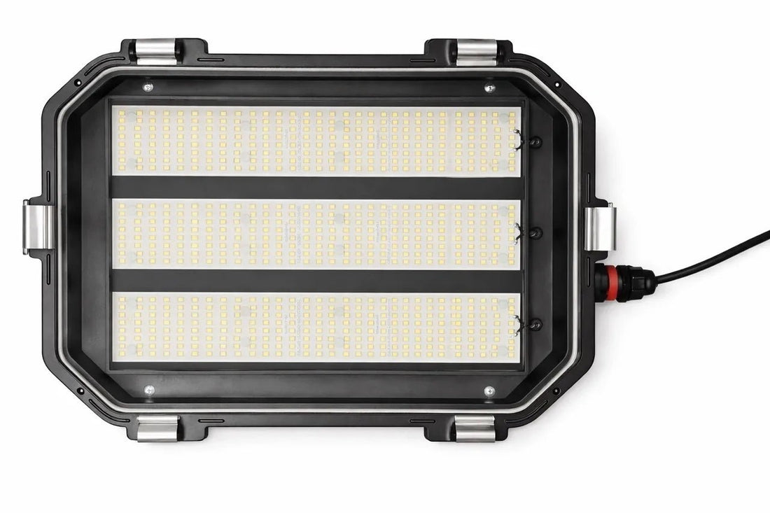 Explosion-Proof Lighting Explained: Choosing the Right Luminaire for Hazardous Areas in South Africa, hazardous warehouse and chemical storage subtopic in a realistic South African industrial building, sealed ceiling-mounted luminaires over drums and service aisles, 5000K clear task lighting mood, balanced square realistic 800x800 composition with muted blue and warm oak accents