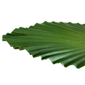 Sharp Point Palm Decorative Leaf - Future Decor