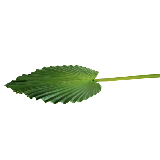 Sharp Point Palm Decorative Leaf - Future Decor