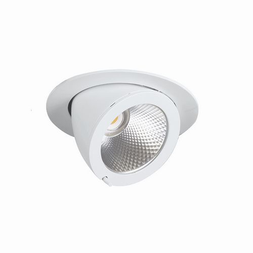 LED Downlight - White Tilt Compass 2