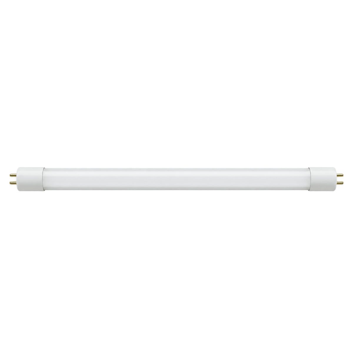 1200mm frosted T8 LED tube cool white on white background