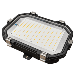 Titan Industrial LED Bulkhead - Daylight 5000K, white background, 1254 x 1254
