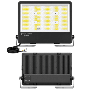 Voltron coastal floodlight on transparent background