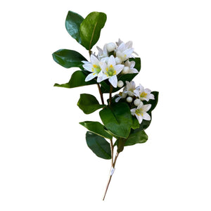 White Jasmine Blossom Decor Flower - Future Decor