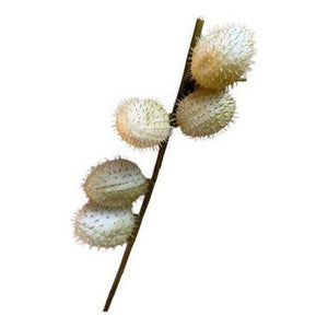 White Thorn Apple Artificial Decoration Plant - Future Decor