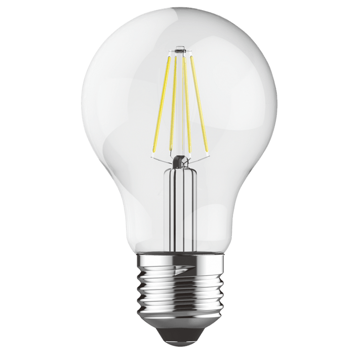 LED Filament Bulb A60