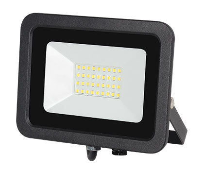 LED Flood Light - 20W RGBW with Remote - Future Light - LED Lights South Africa