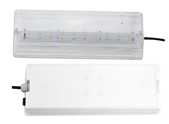 LED Emergency Light - 4 Watt Maintained / Non Maintained - Future Light - LED Lights South Africa